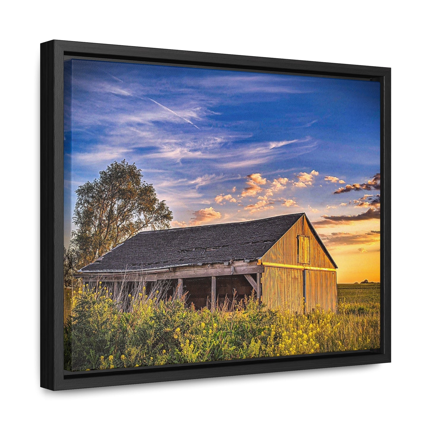 Beautiful Barn  Frame (SP Photography Collection)