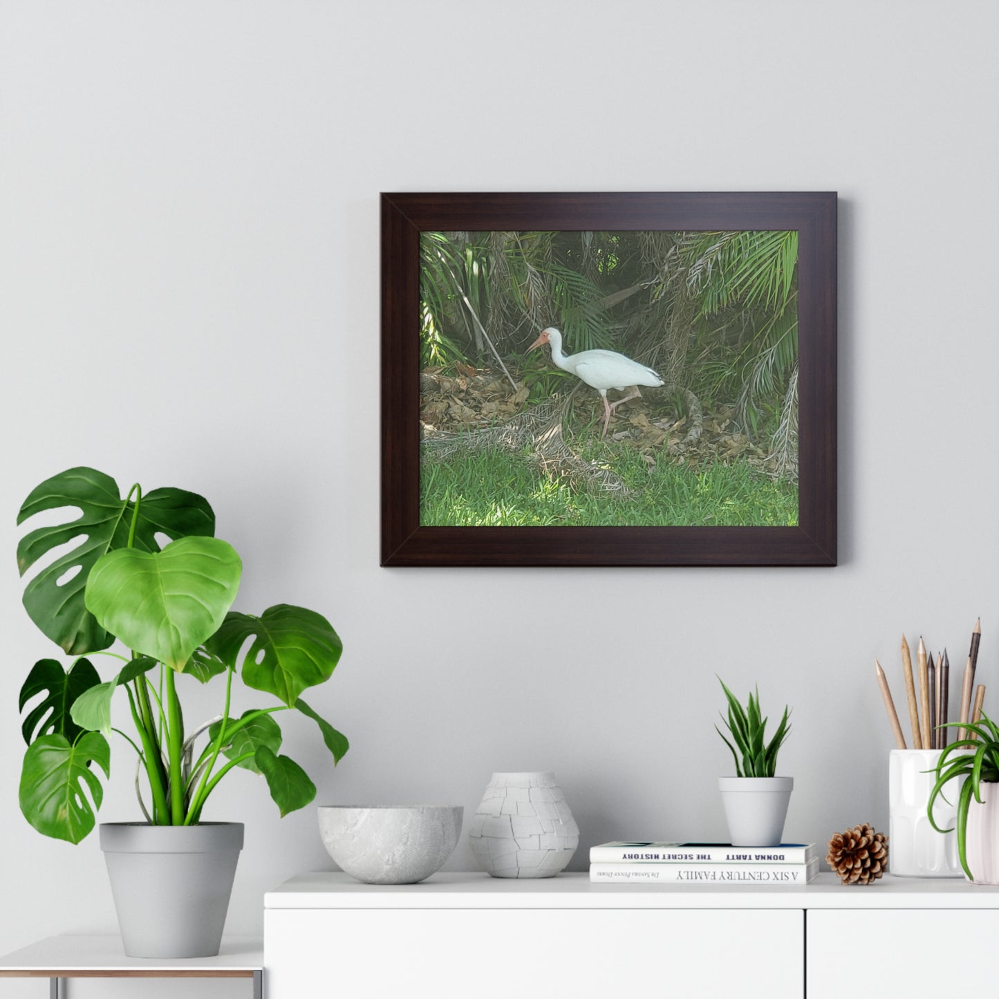 White Ibises Framed Horizontal Poster (B & J Collections)