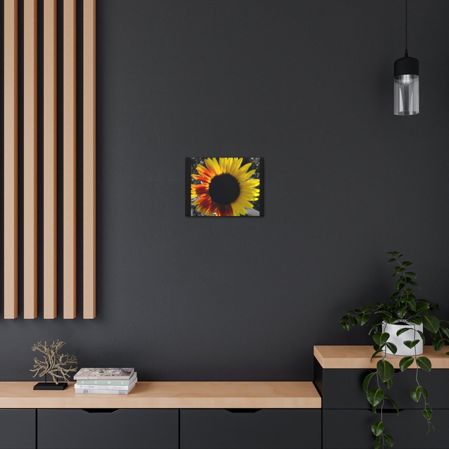 Mixed Sunflower Canvas Gallery Wraps Black (Enchanted Exposures by Tammy Lyne)