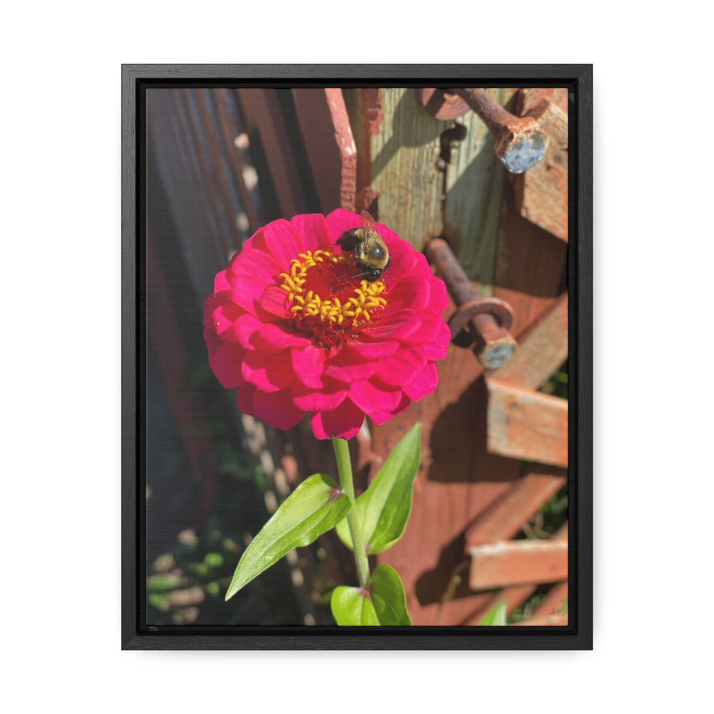 Bumble Bee Wraps, Vertical Frame (Custom Creations By Catelyn) BLACK