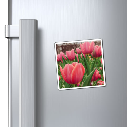 Pink Tulip Magnet (SP Photography Collection)