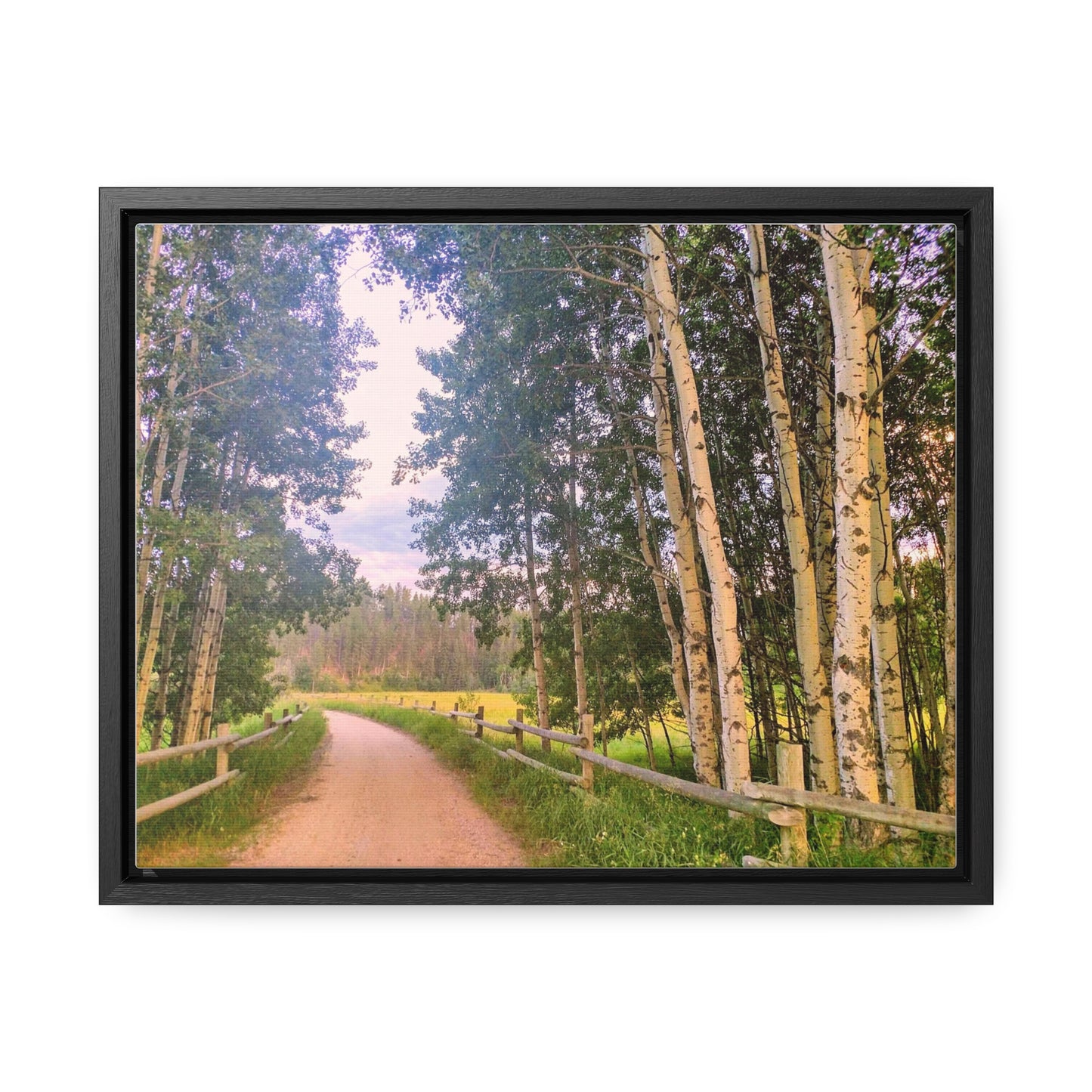 Country Road Canvas, Horizontal Frame (SP Photography Collection)