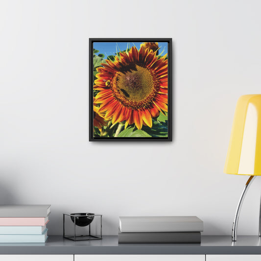 Bumble Bee Sunflower Canvas Wraps, Vertical Frame (Enchanted Exposures By Tammy Lyne Collection)