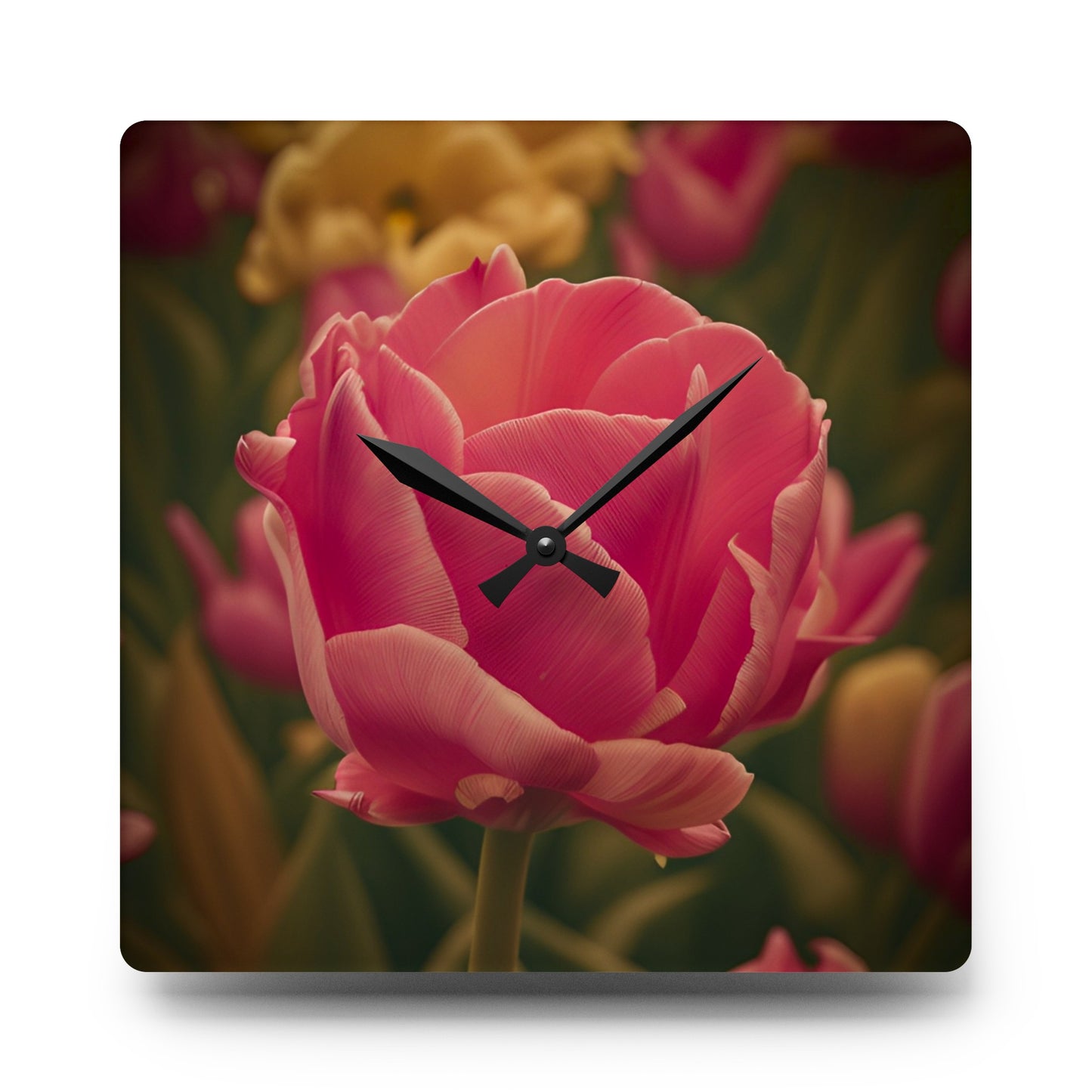 Pink Buttercup Acrylic Wall Clock (SP Photography Collection)