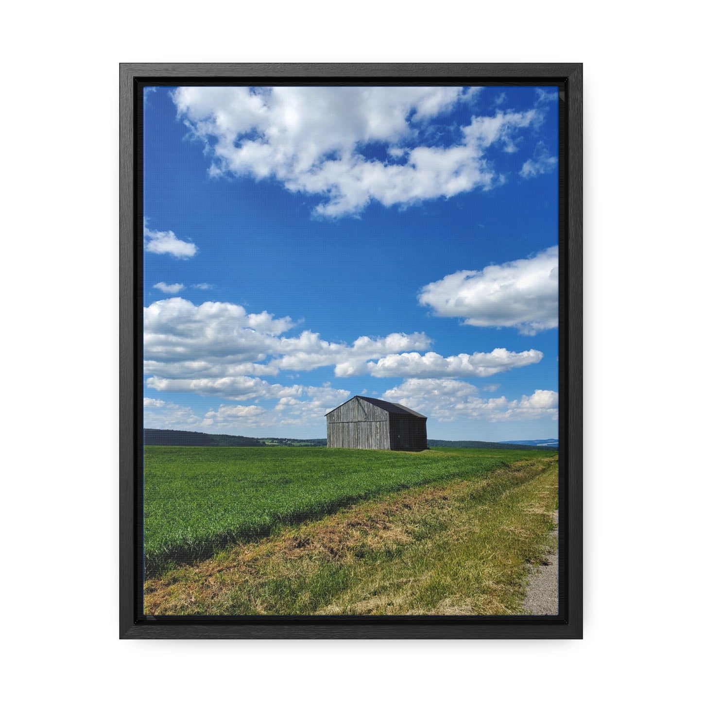 Lonely Barn Canvas Wraps, Vertical Frame (Enchanted Exposures By Tammy Lyne)