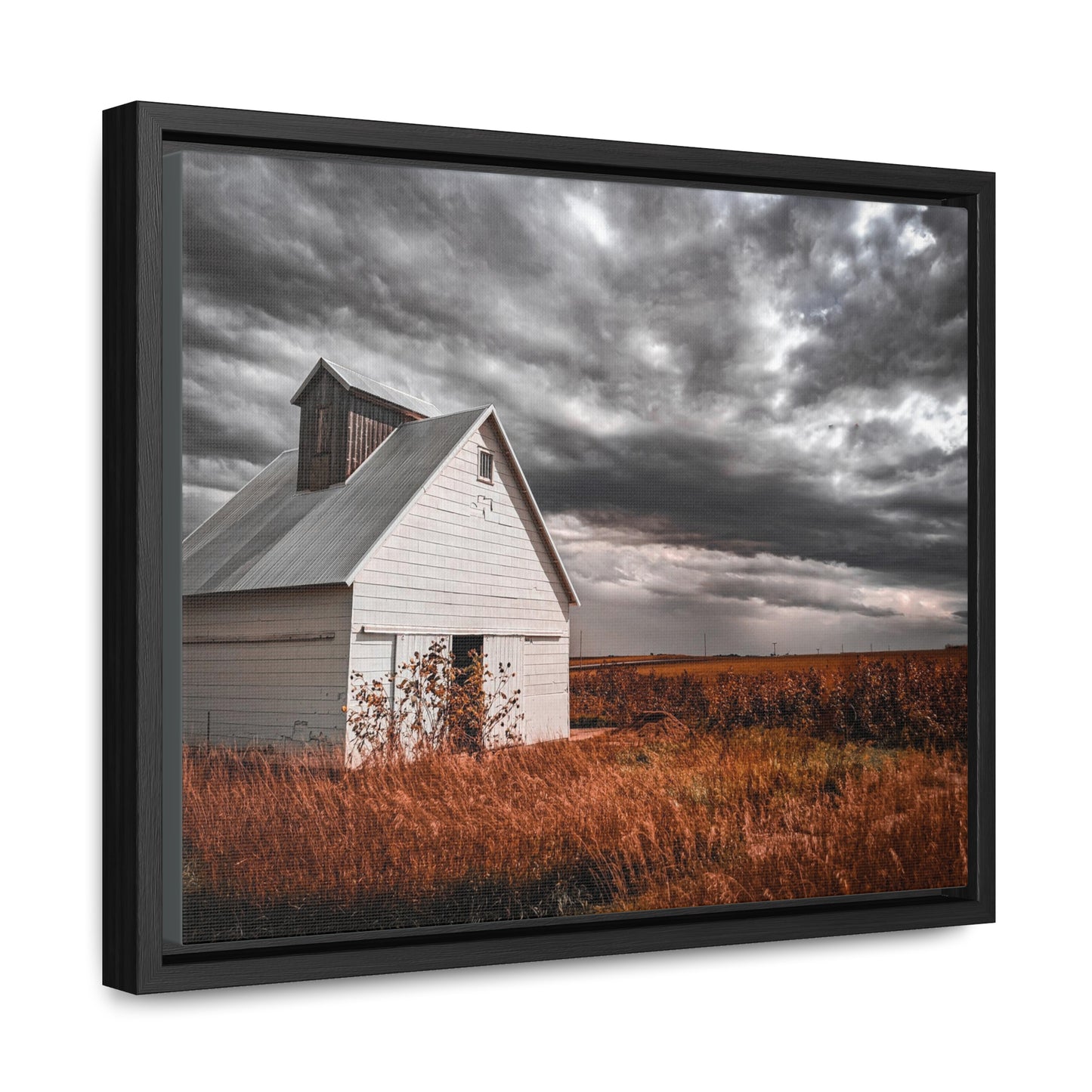 Field Barn Horizontal Frame (SP Photography Collection)