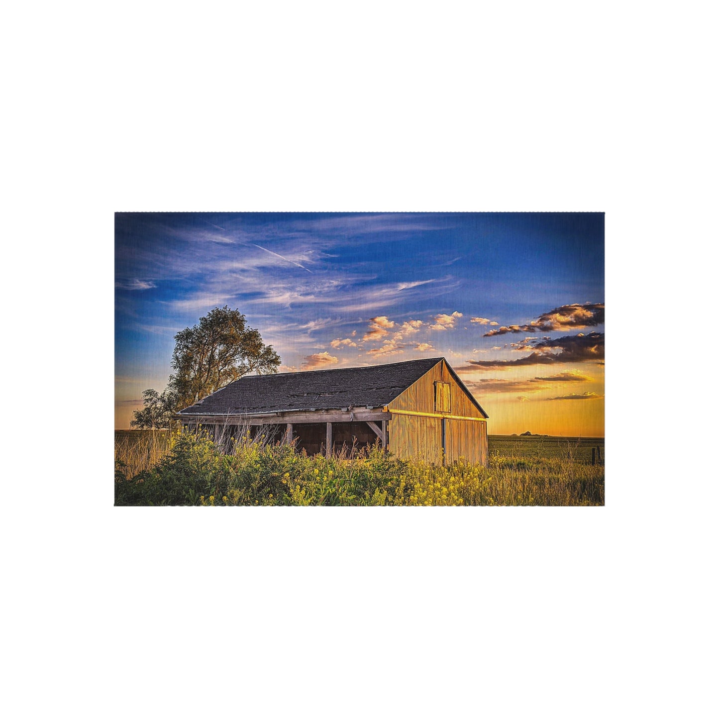 Beautiful Barn outdoor Rug (SP Photography Collection)