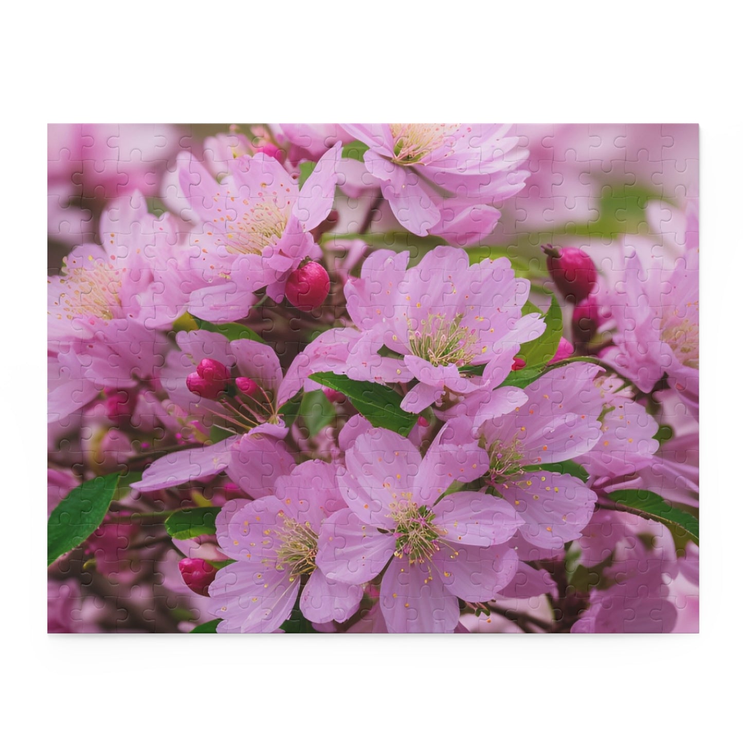 Cherry BLossom Puzzle (SP Photography Collection 120, 252, 500-Piece)