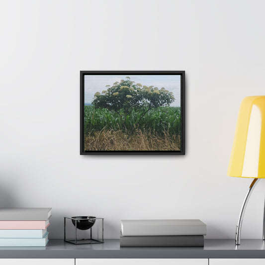 Lonely Tree Gallery Canvas Wraps, Horizontal Frame (B & J Collections)