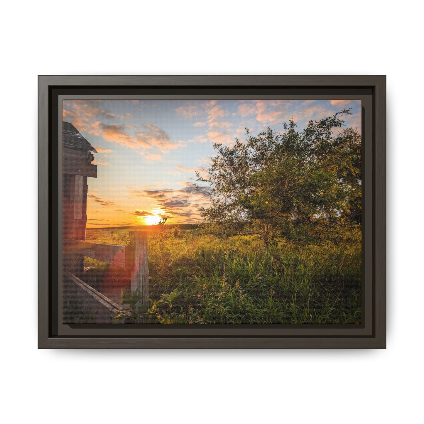 Fence Matte Canvas, Framed (Multi-color) (SP Photography Collection)