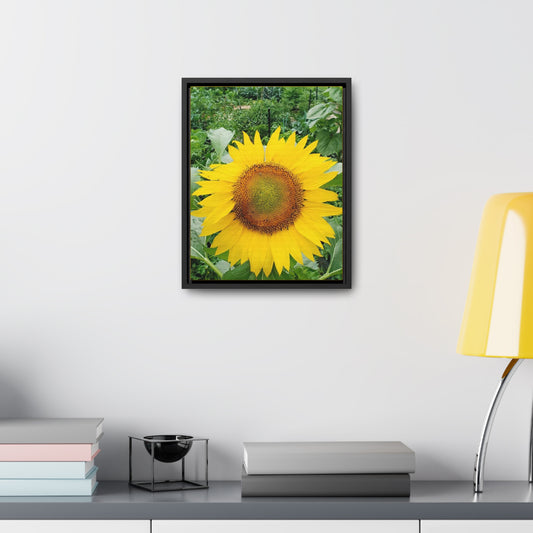 Yellow Sunflower Canvas Wraps, Vertical Frame (Enchanted Exposures By Tammy Lyne)