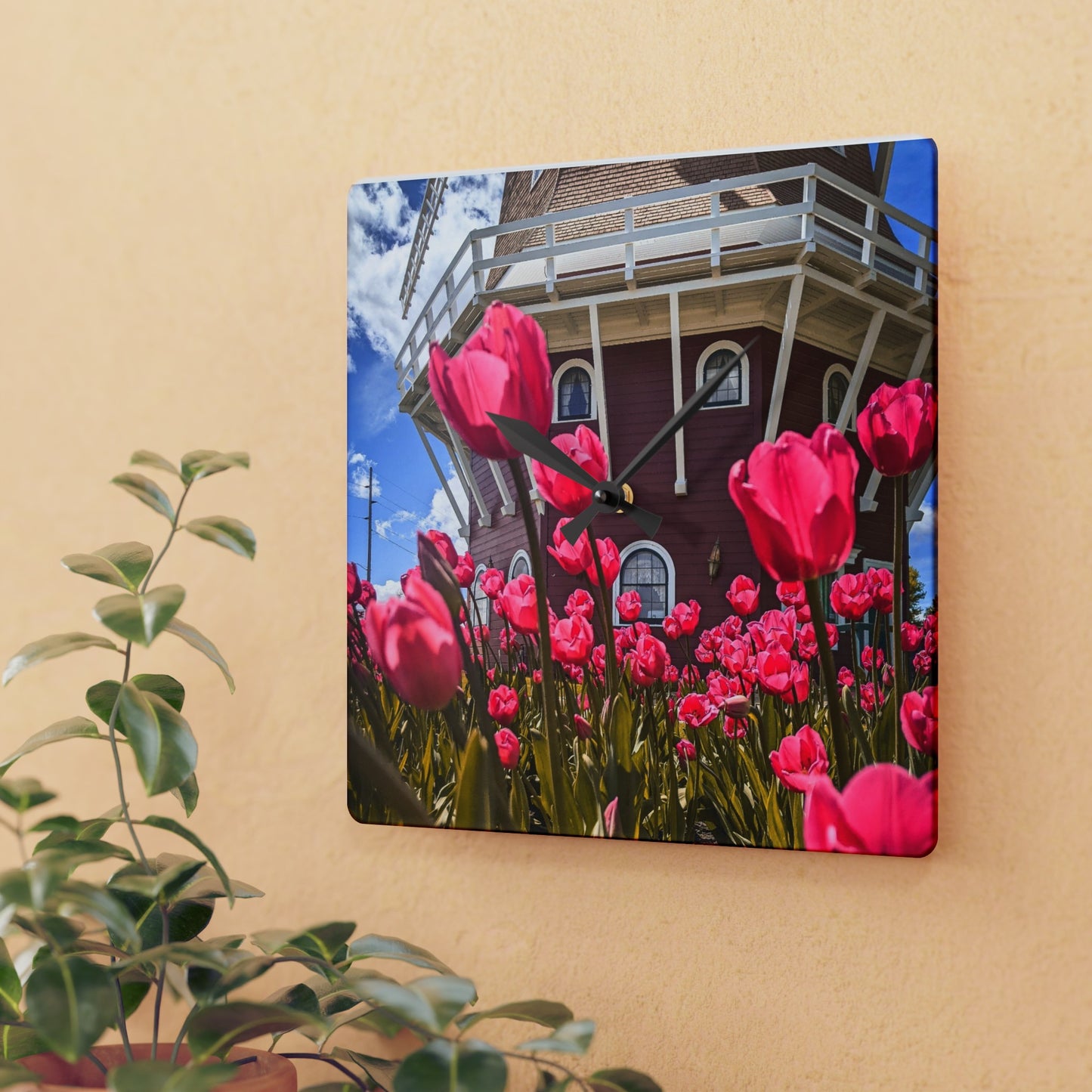 Windmill Pink Tulips Wall Clock (SP Photography Collection)