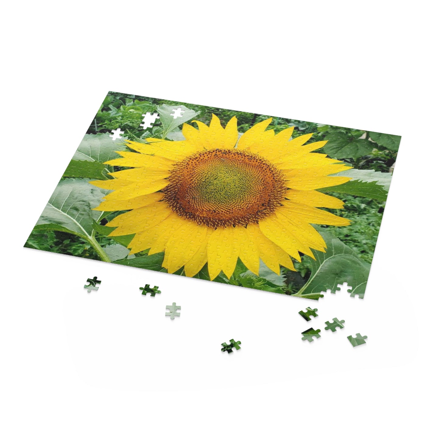 Yellow Sunflower Puzzle (Enchanted Exposures By Tammy Lyne) (Collection 120, 252, 500-Piece)