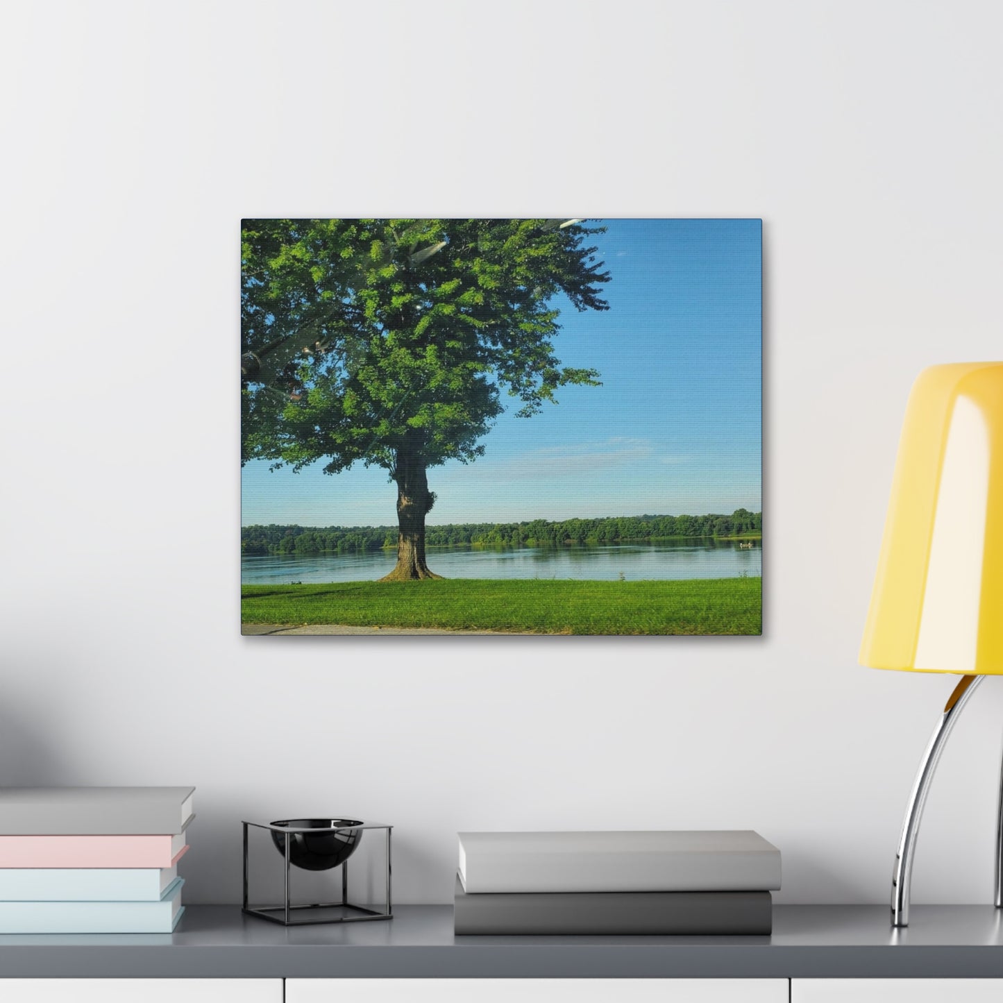 Tree Gallery  Canvas Wrap (B & J Collections)