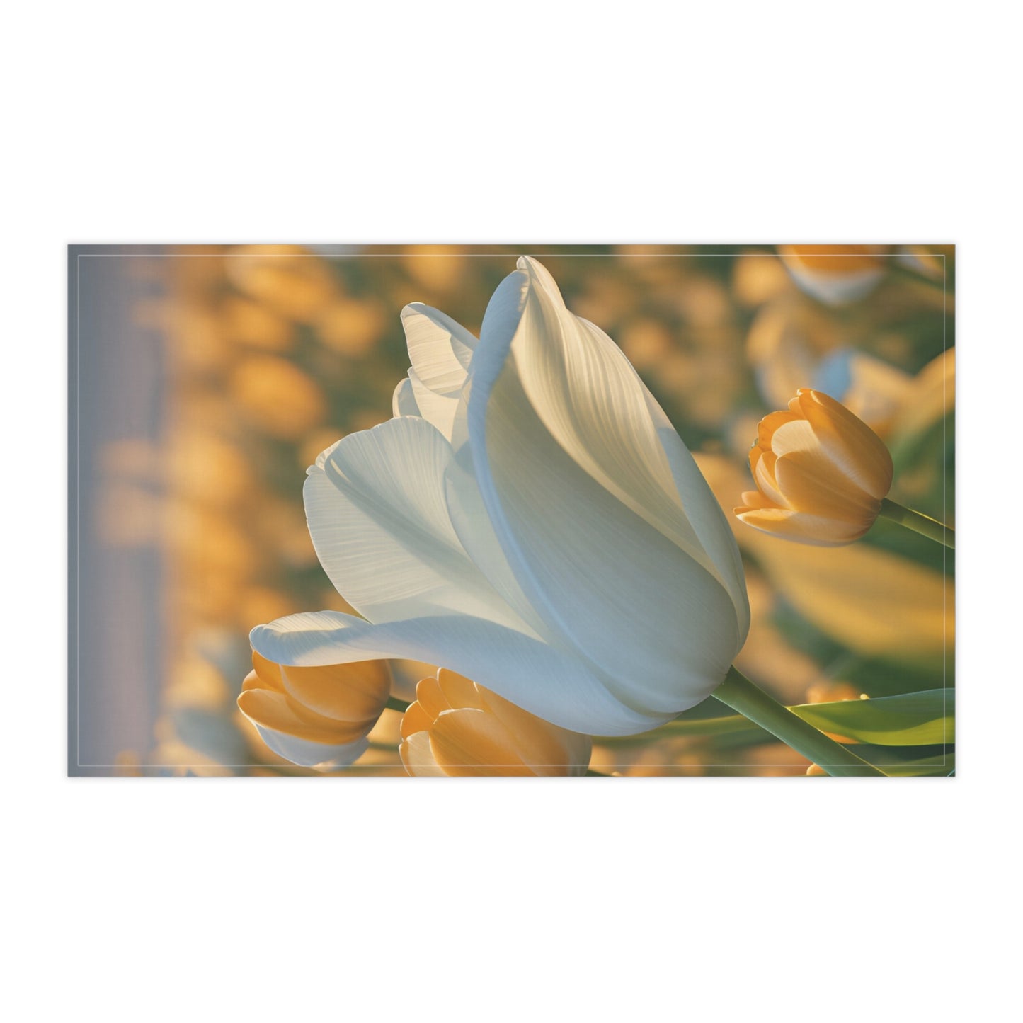 White Flower Tulip Kitchen Towel (SP Photography Collection)