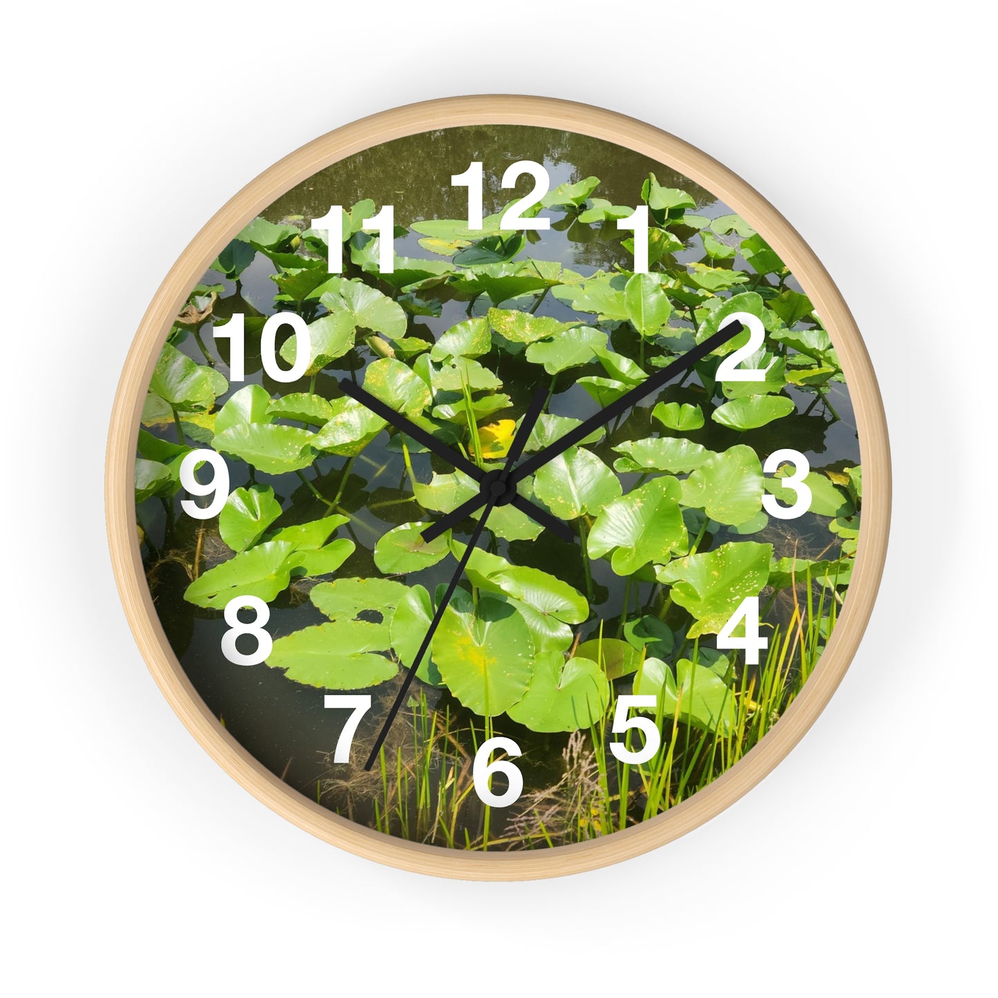 Lily Pad Wall Clock (B & J Collections)