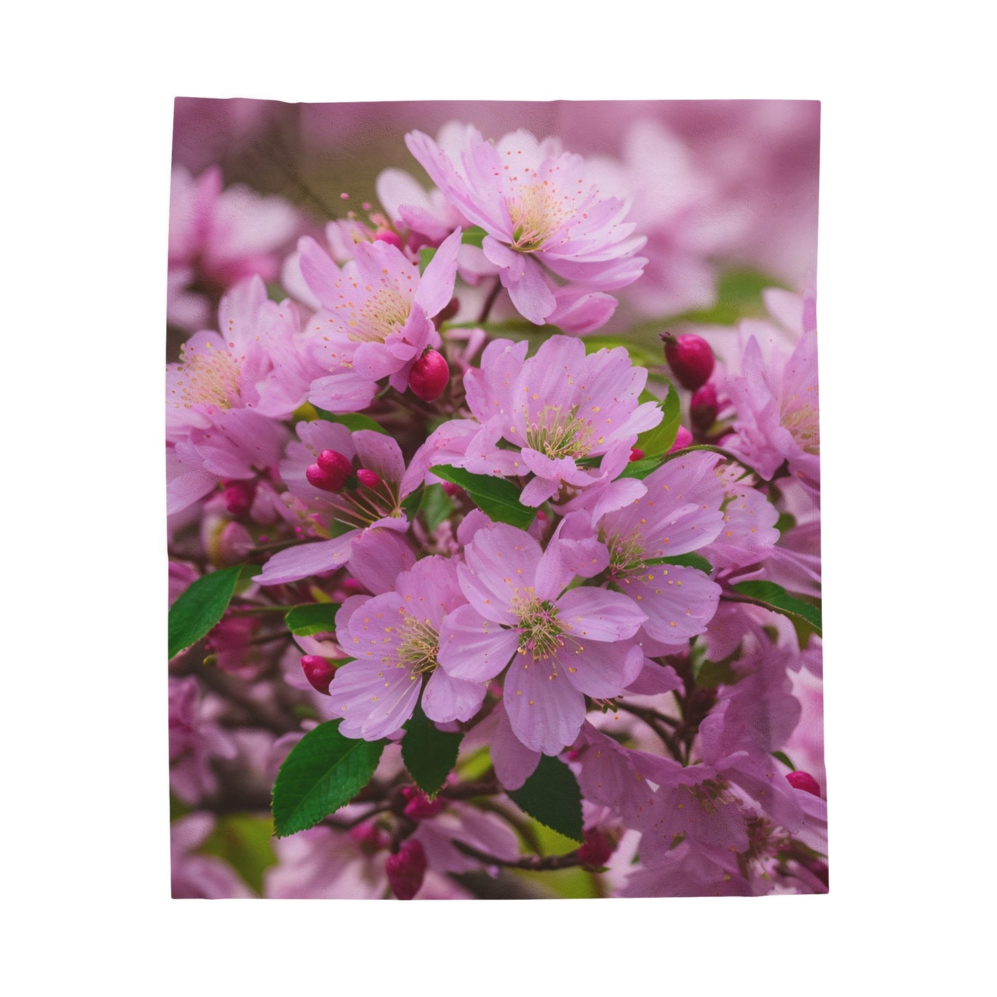 Cherry Blossom Velveteen Plush Blanket (SP Photography Collection)