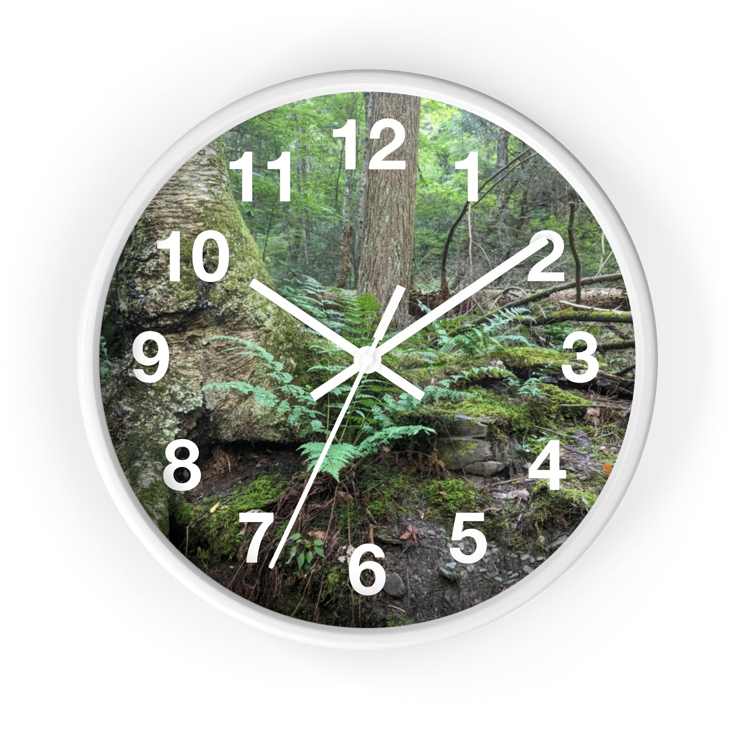 Forest Fern Clock (Savor The Moment Collection)