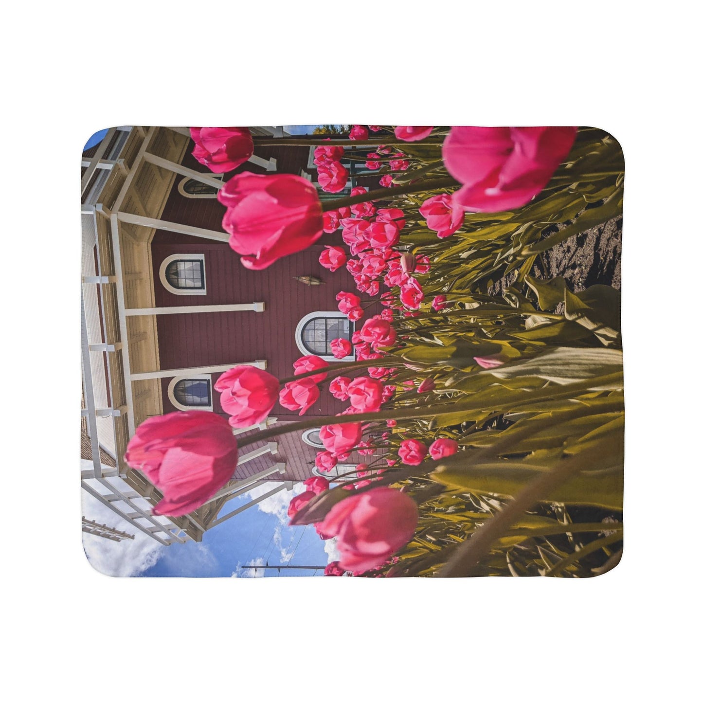 Windmill Pink Tulip Fleece Sherpa Blanket (SP Photography Collection)