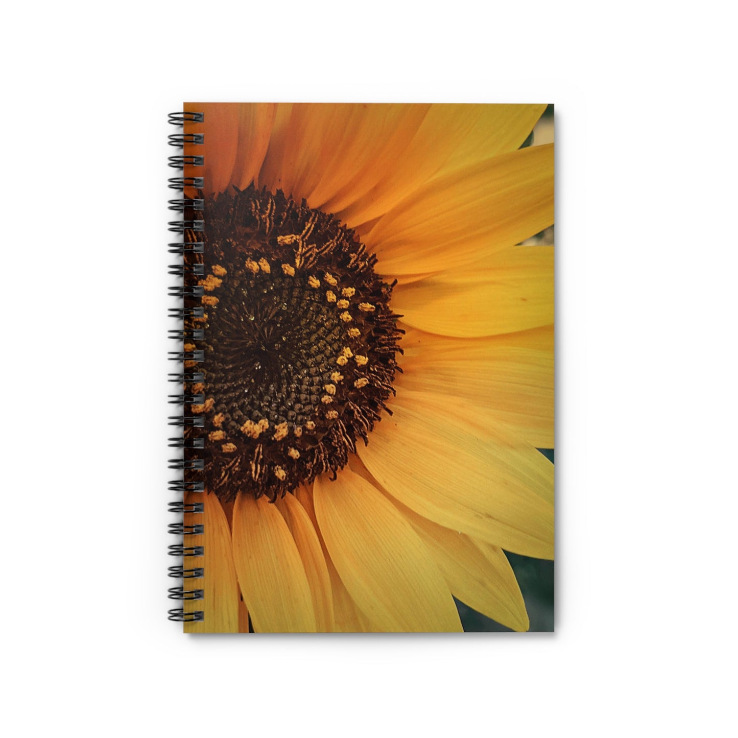 Sun Ray Sunflower Spiral Notebook - Ruled Line (SP Photography Collection)