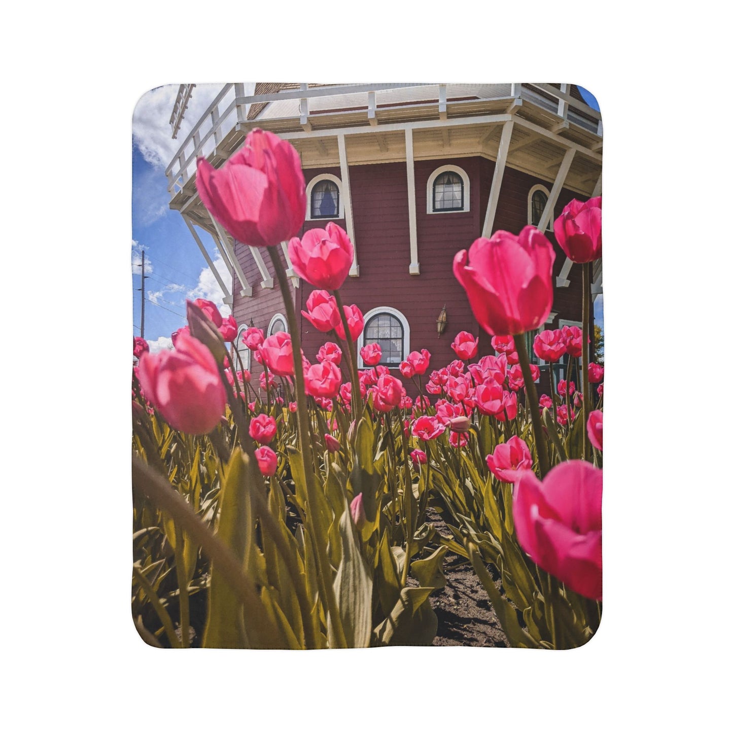 Windmill Pink Tulip Fleece Sherpa Blanket (SP Photography Collection)