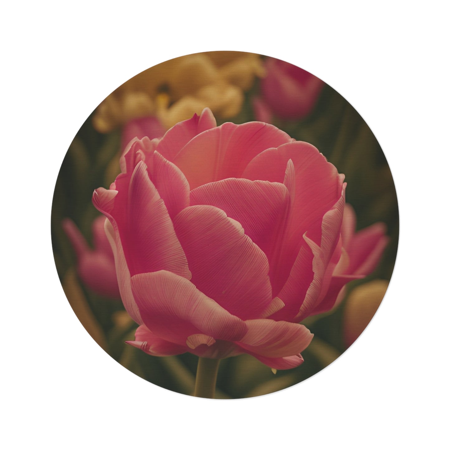 Pink Buttercup Round Rug (SP Photography Collection)