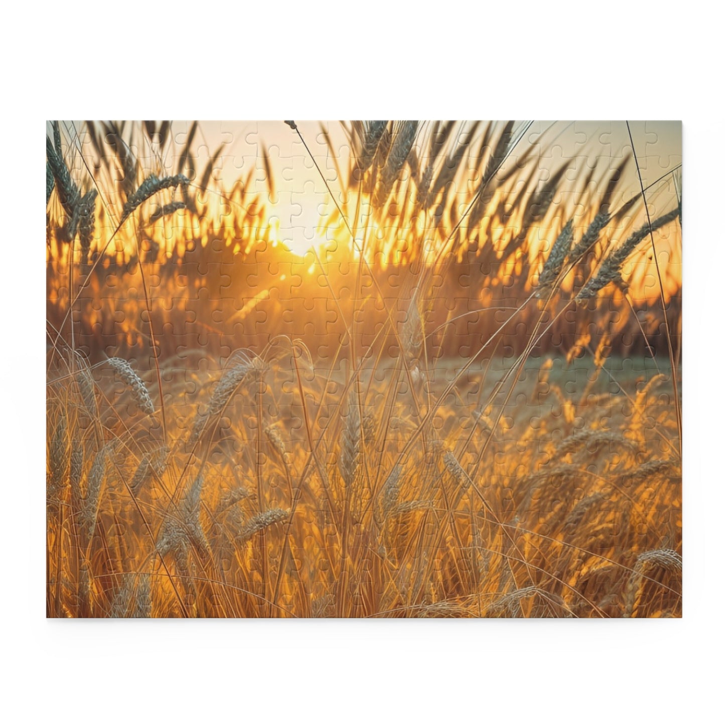 Golden Wheat Puzzle (SP Photography Collection 120, 252, 500-Piece)