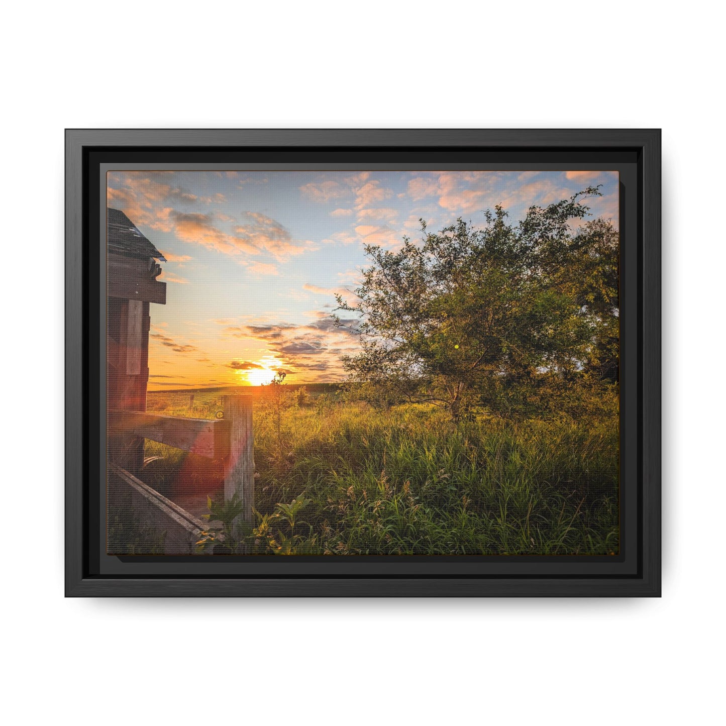 Fence Matte Canvas, Framed (Multi-color) (SP Photography Collection)