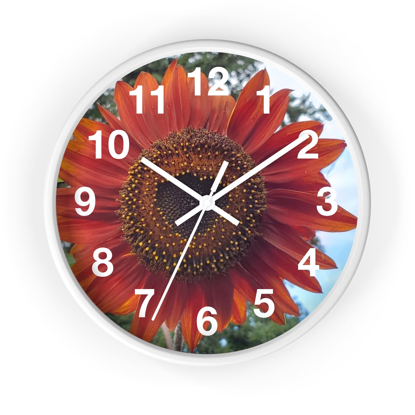 Heart Sunflower Wall Clock (Enchanted Exposures By Tammy Lyne)