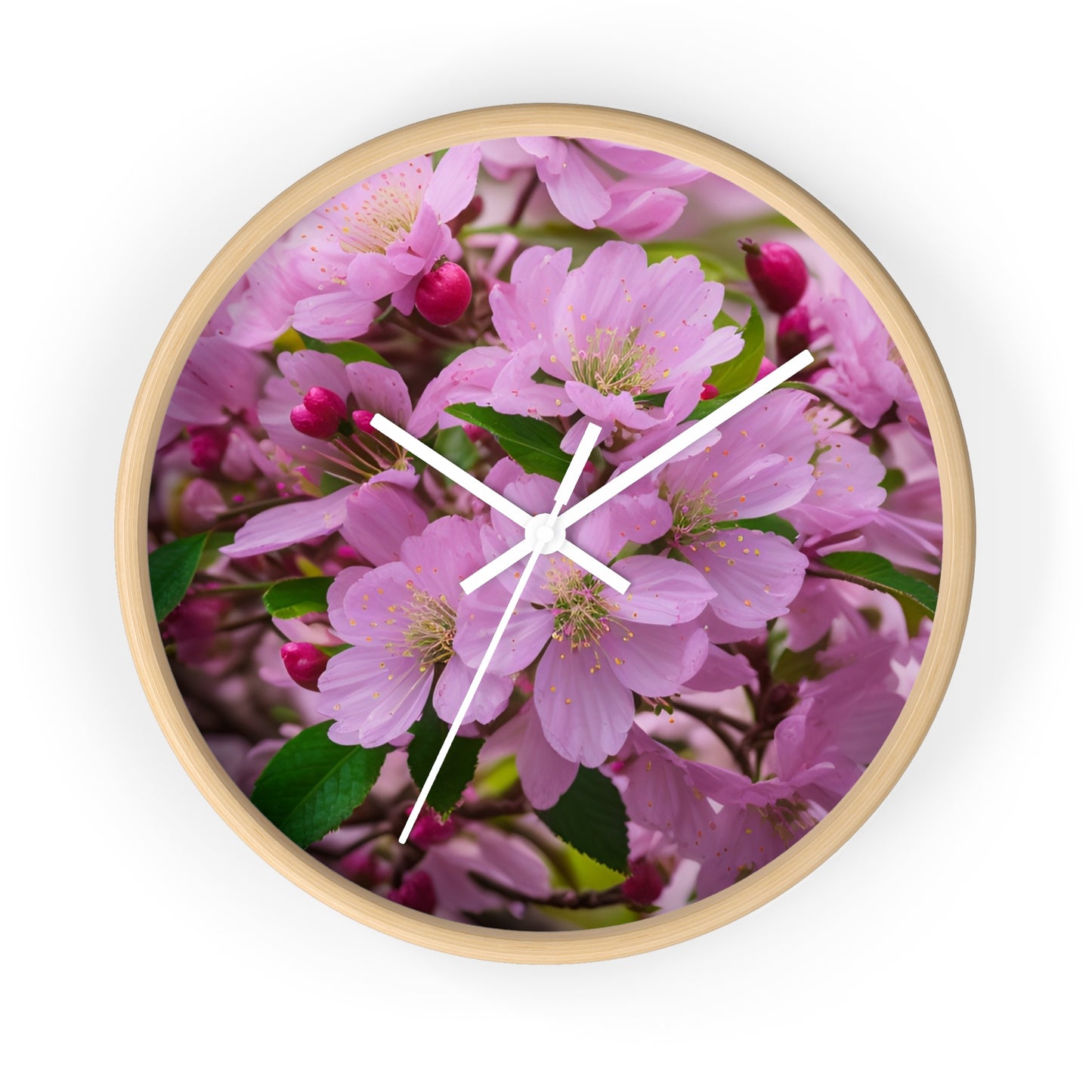 Cherry Blossom Clock (SP Photography Collection)