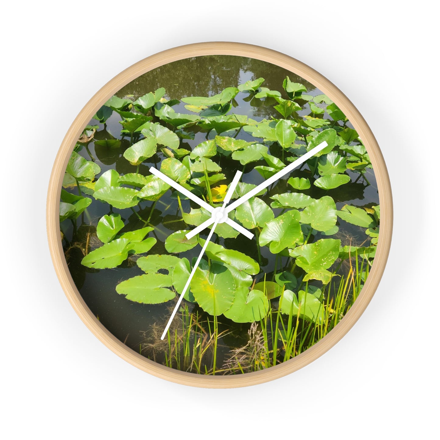 Lily Pad Wall Clock (B & J Collections)