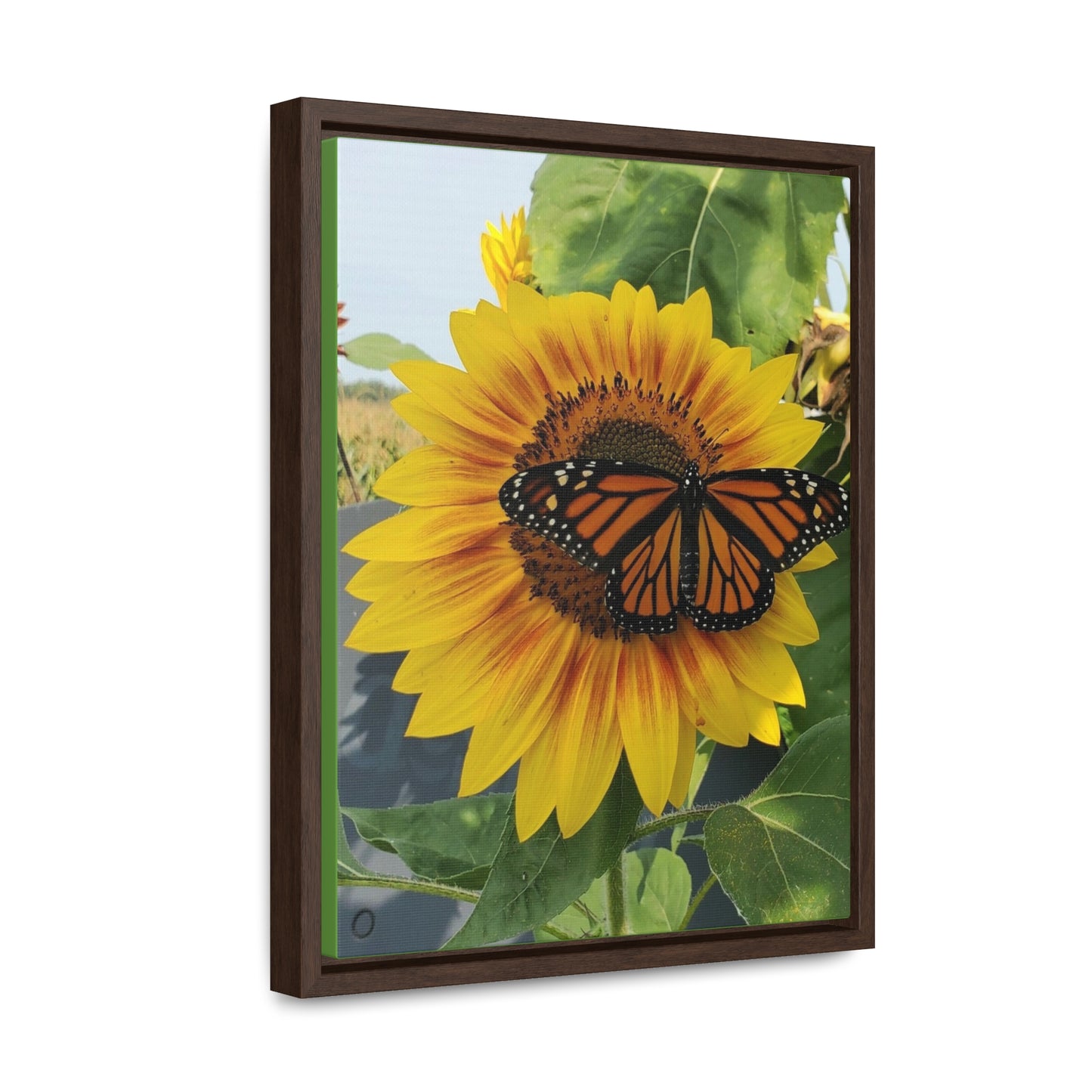 Happy Sunflower Canvas Wraps, Vertical Frame (Enchanted Exposures By Tammy Lyne)