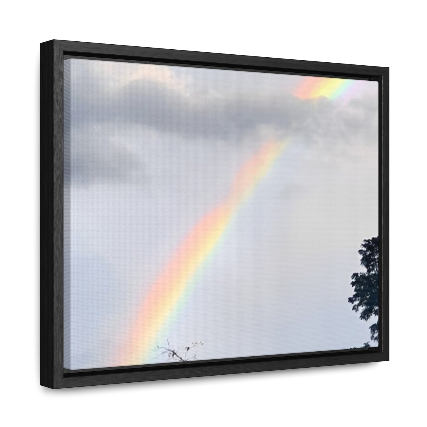 Rainbow Horizontal Frame (Enchanted Exposures by Tammy Lyne)