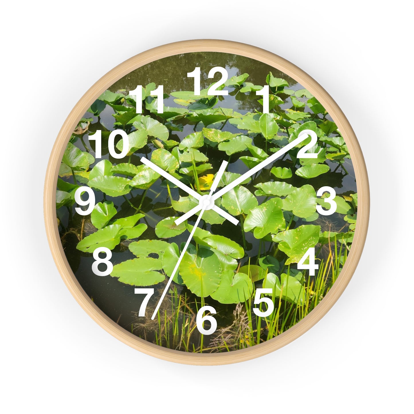 Lily Pad Wall Clock (B & J Collections)