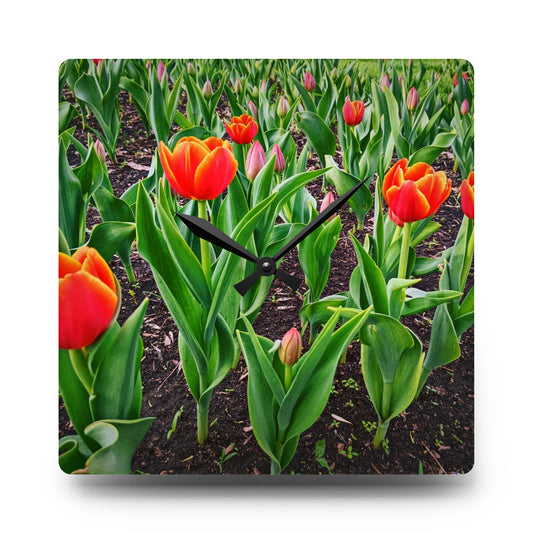 Red Tulips Acrylic Wall Clock (SP Photagrapy Collection)