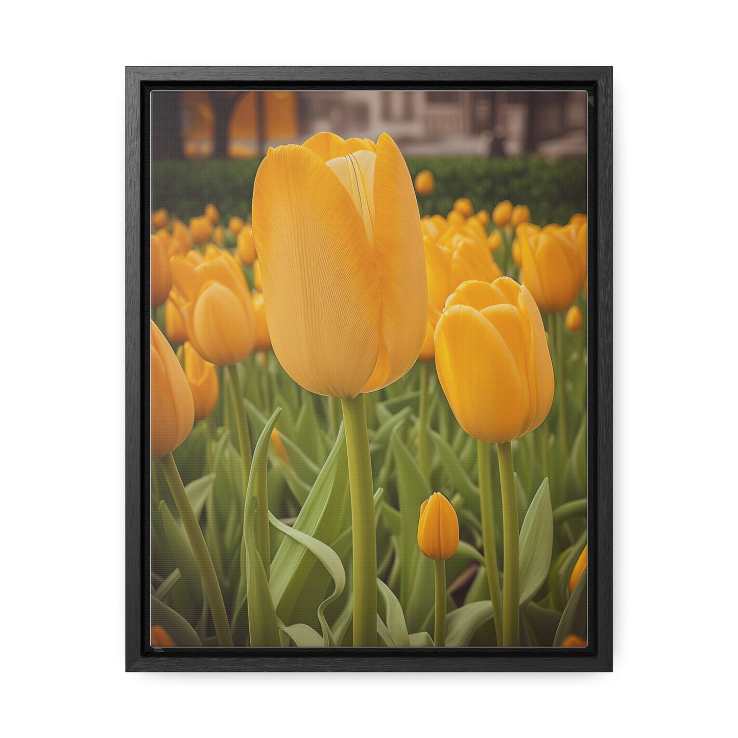 Yellow Tulip Canvas Wraps, Vertical Frame (SP Photography Collection)