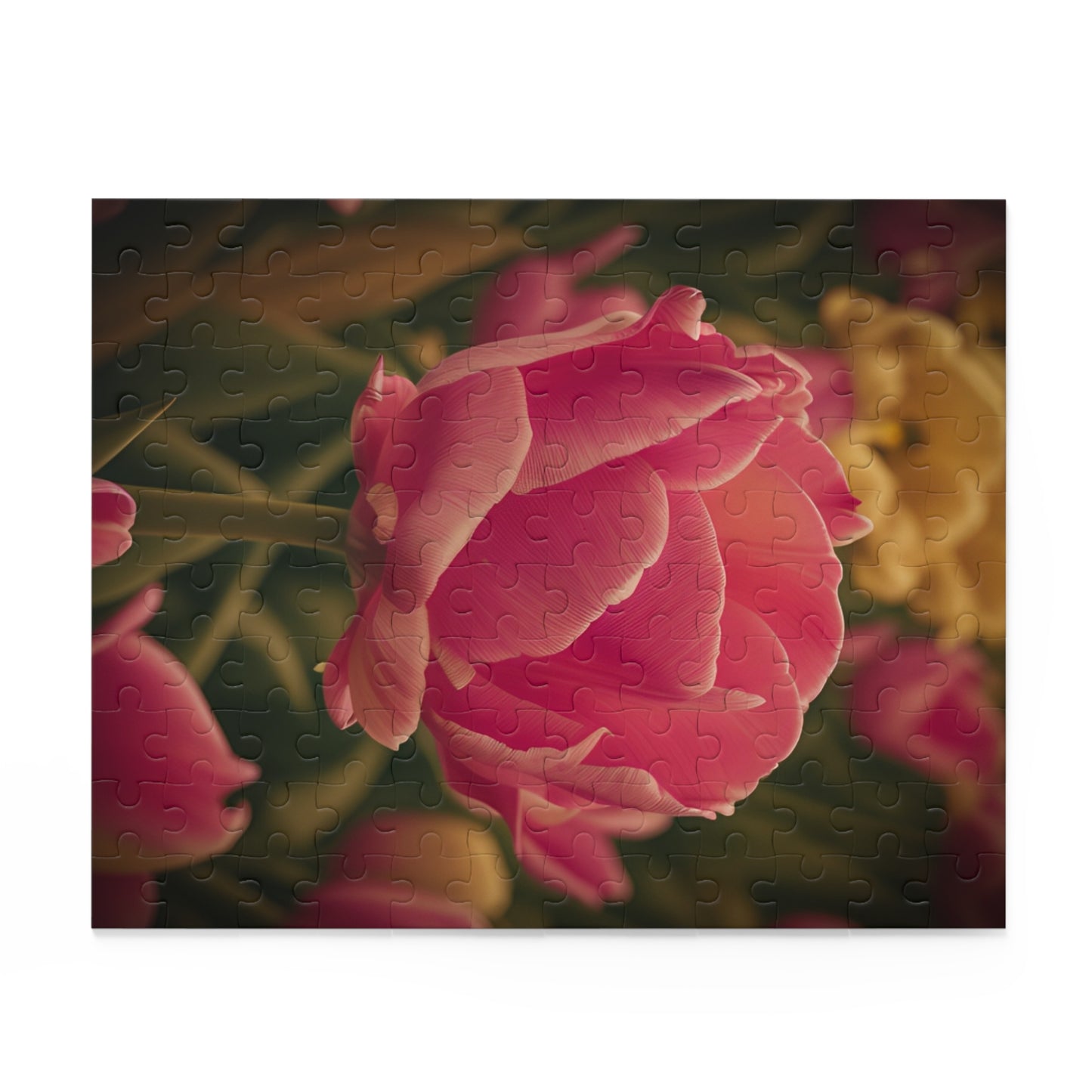 Pink Buttercup Puzzle (SP Photography Collection) (120, 252, 500-Piece)