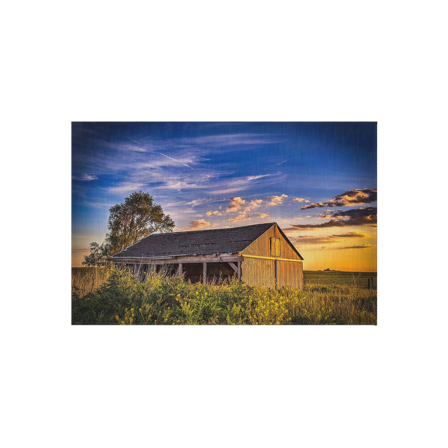 Beautiful Barn outdoor Rug (SP Photography Collection)