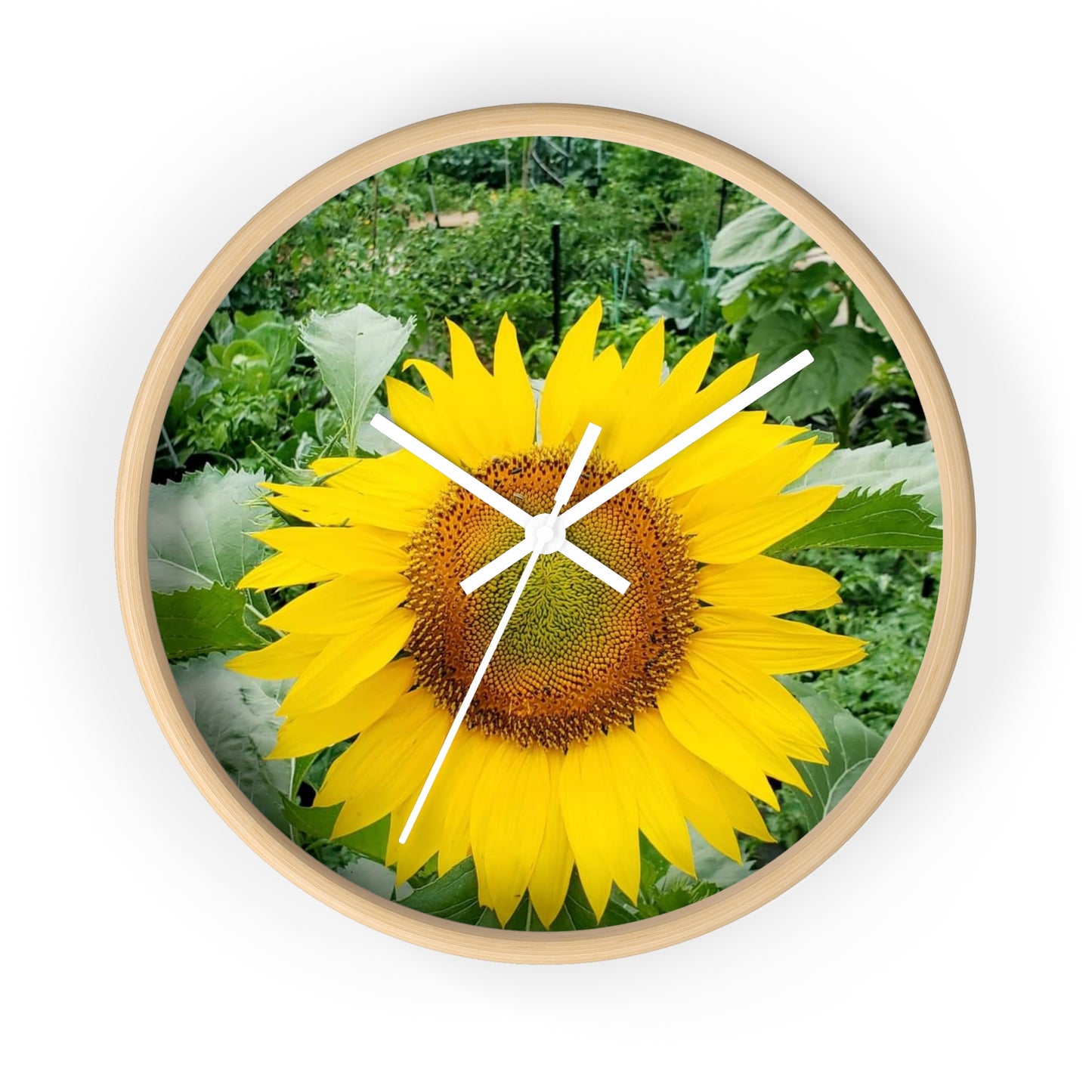 Yellow Sunflower Wall Clock (Enchanted Exposures By Tammy Lyne)