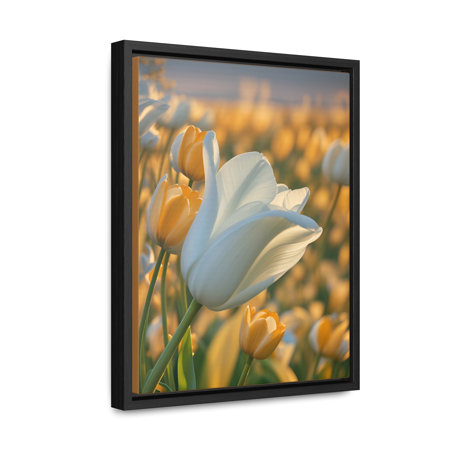 White Flower Tulip Canvas Wraps, Vertical Frame (SP Photography Collection)