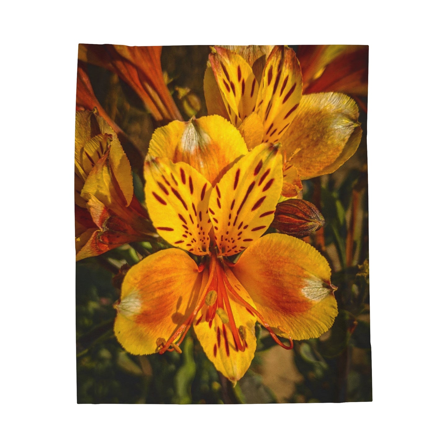 Yellow Lily Velveteen Plush (SP Photography Collection)