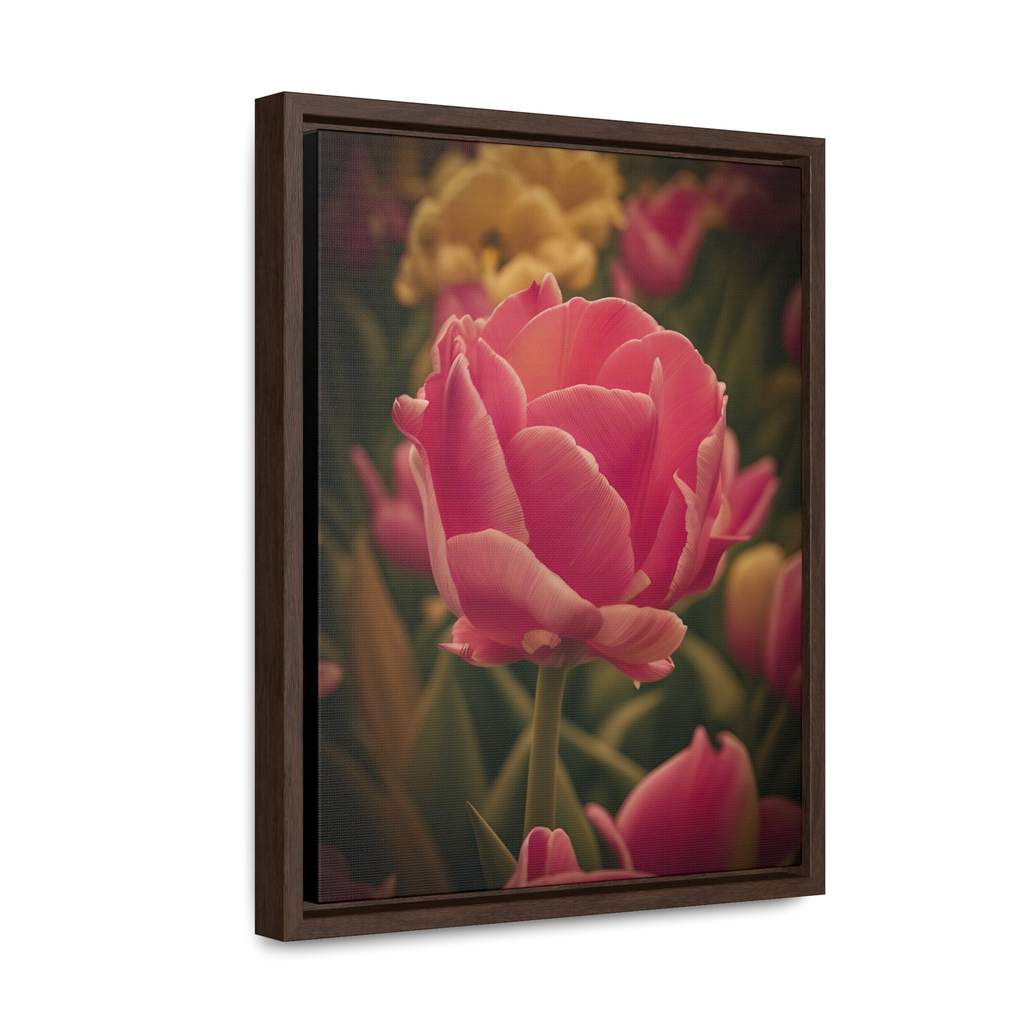 Pink Buttercup Canvas Wraps, Vertical Frame (SP Photography Collection) BLACK