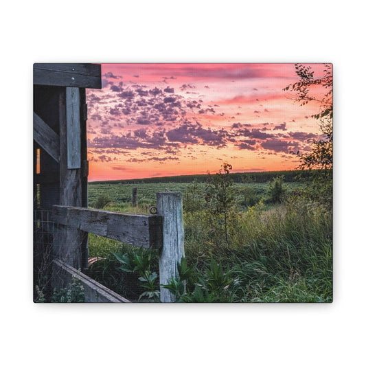 Pink Sky Canvas Stretched (SP Photography Collection)