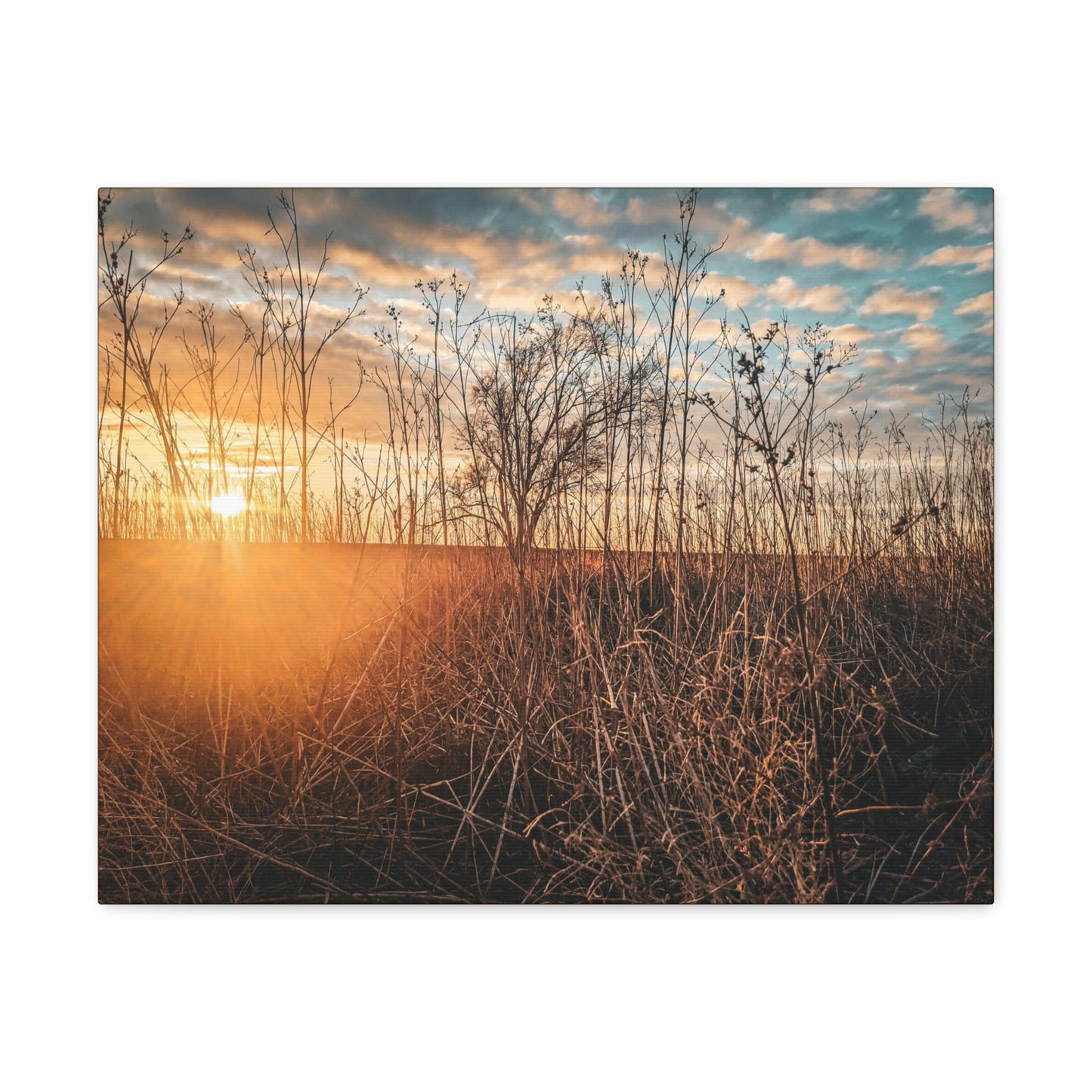 Cloudy Sunset Fields Wrap Canvas (SP Photography Collection)