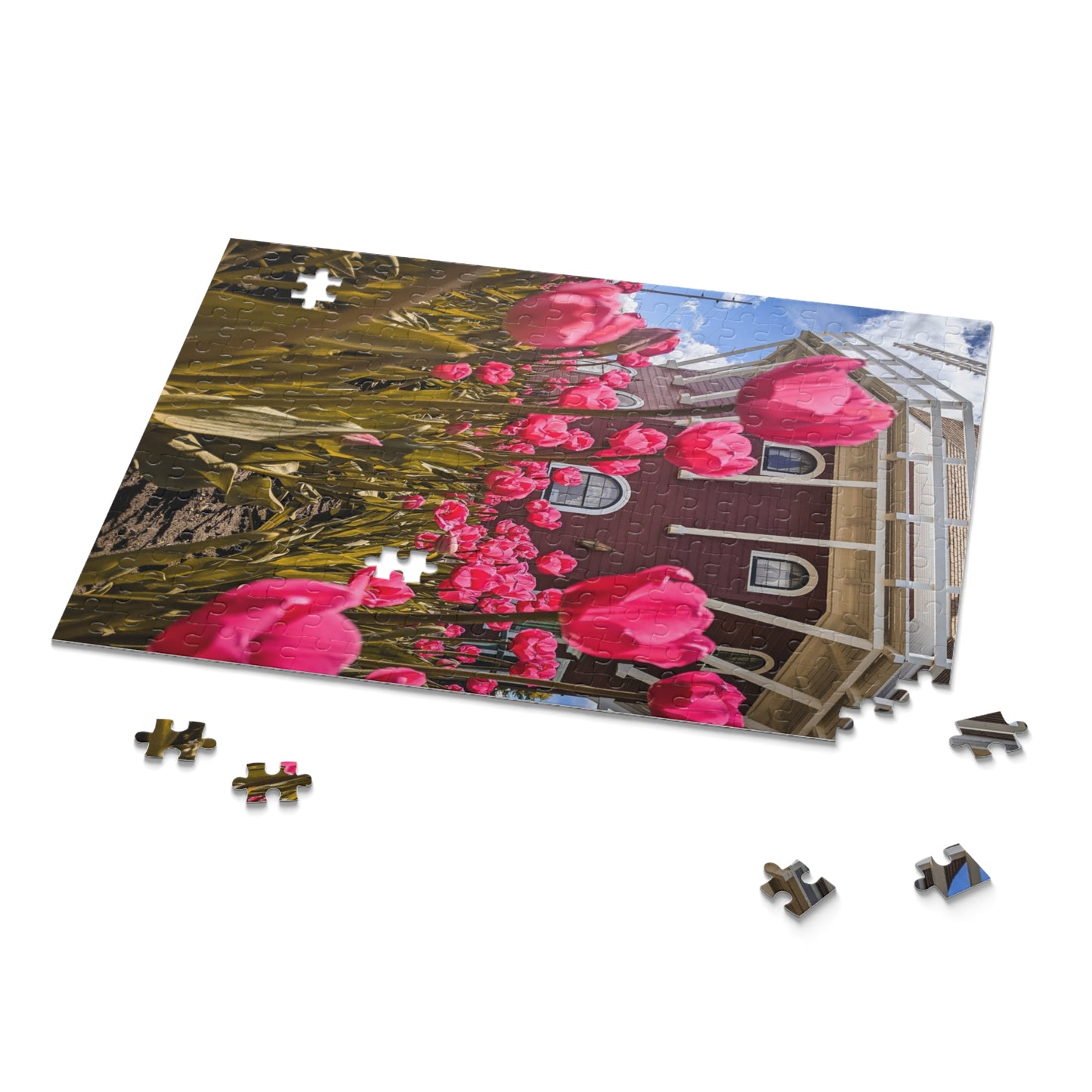 Windmill Pink Tulips Puzzle (SP Photography Collection) (120, 252, 500-Piece)