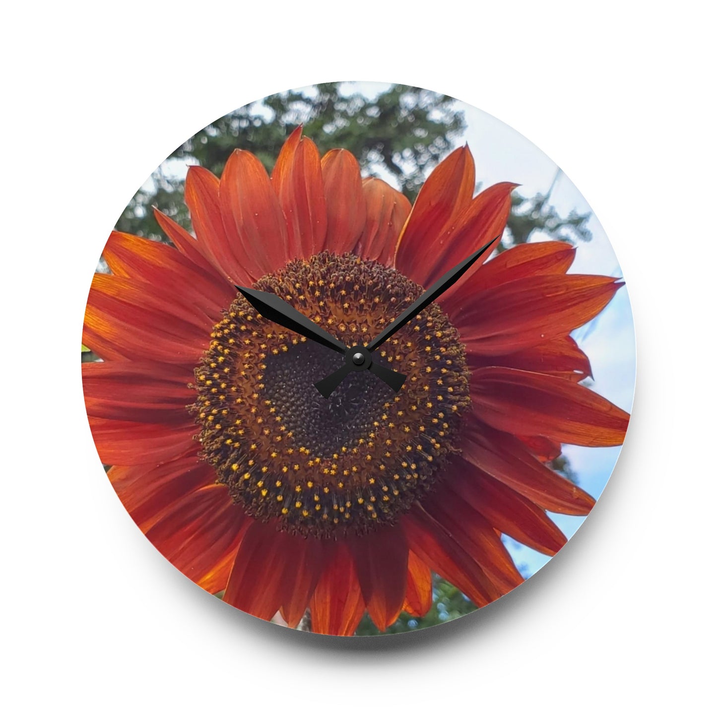 Heart Sunflower Acrylic Wall Clock (Enchanted Exposures By Tammy Lyne Collection)