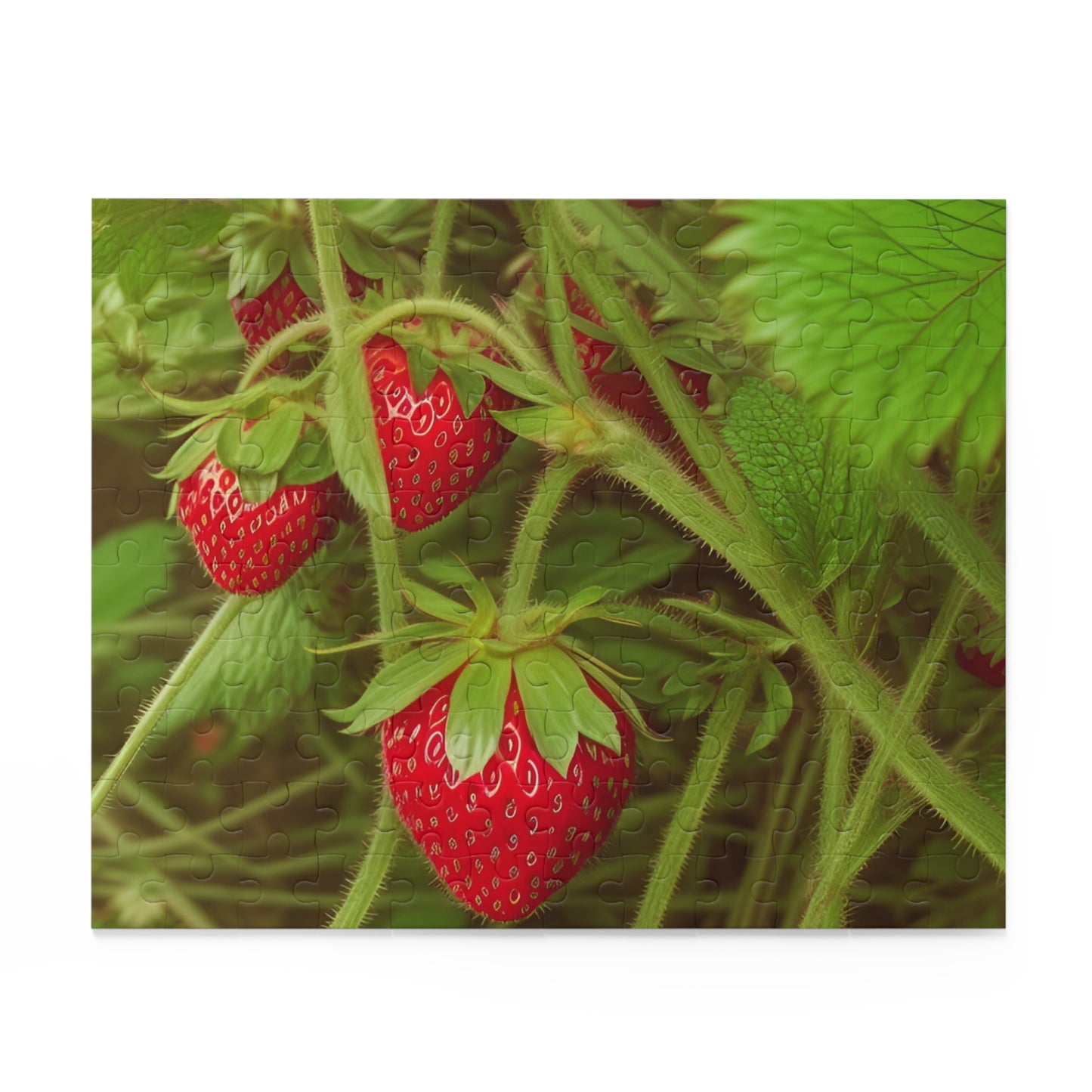 Strawberry Puzzle (SP Photography Collection 120, 252, 500-Piece)