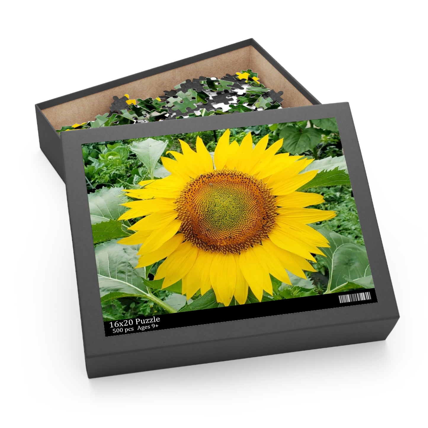 Yellow Sunflower Puzzle (Enchanted Exposures By Tammy Lyne) (Collection 120, 252, 500-Piece)