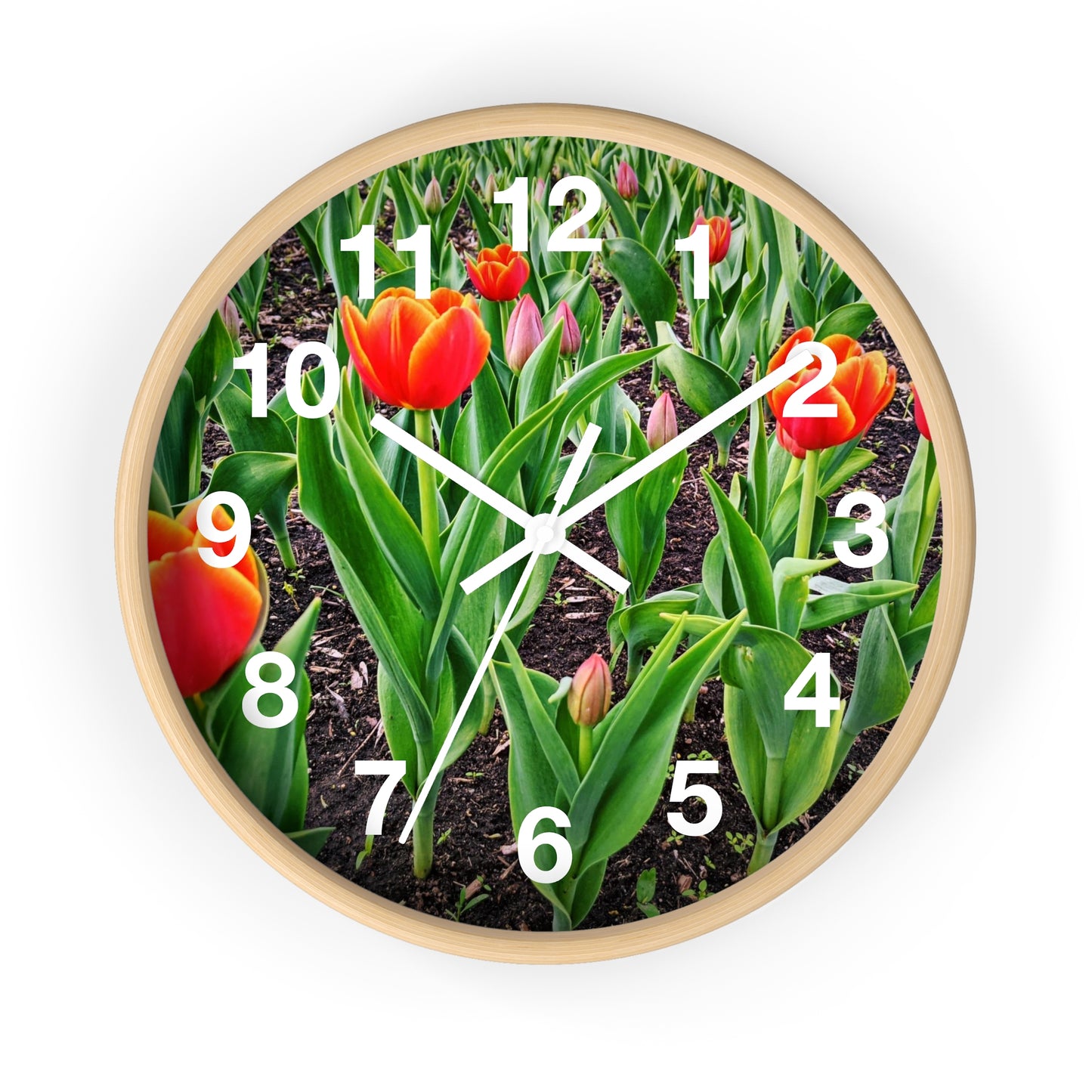 Red Tulips Wall Clock (SP Photography Collection)