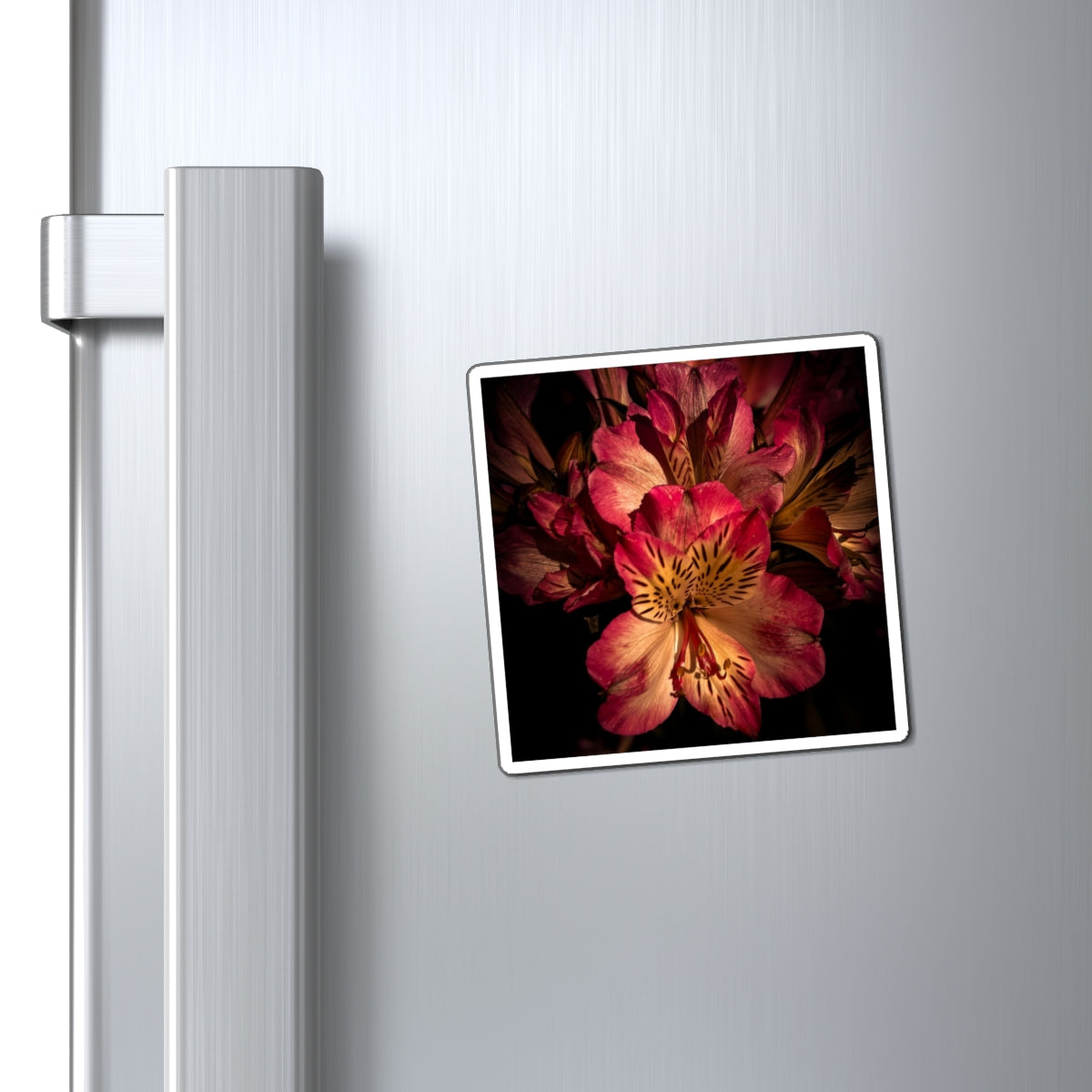 Pink Lily Magnet (SP Photography Collection)